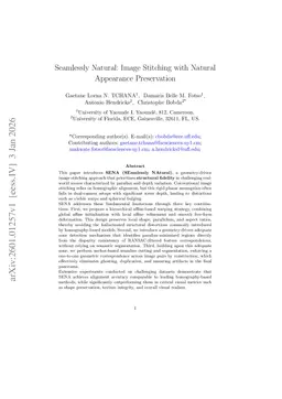 Seamlessly Natural: Image Stitching with Natural Appearance Preservation