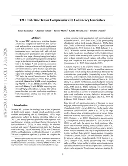 T3C: Test-Time Tensor Compression with Consistency Guarantees