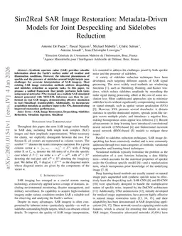 Sim2Real SAR Image Restoration: Metadata-Driven Models for Joint Despeckling and Sidelobes Reduction