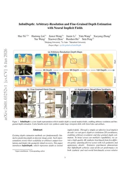 InfiniDepth: Arbitrary-Resolution and Fine-Grained Depth Estimation with Neural Implicit Fields