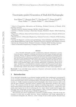Uncertainty-guided Generation of Dark-field Radiographs