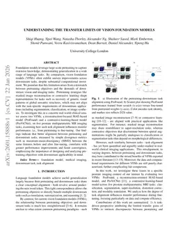 Understanding the Transfer Limits of Vision Foundation Models