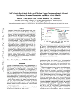 DSFedMed: Dual-Scale Federated Medical Image Segmentation via Mutual Distillation Between Foundation and Lightweight Models