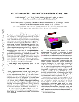 Multi-View Consistent Wound Segmentation With Neural Fields