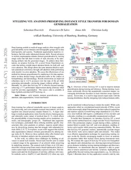 Stylizing ViT: Anatomy-Preserving Instance Style Transfer for Domain Generalization