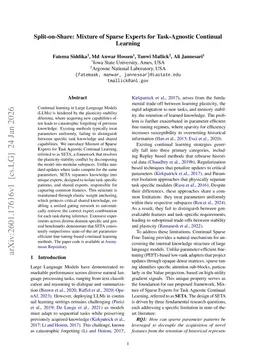 Split-on-Share: Mixture of Sparse Experts for Task-Agnostic Continual Learning