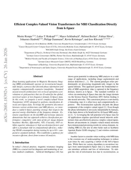 Efficient Complex-Valued Vision Transformers for MRI Classification Directly from k-Space