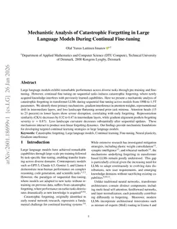 Mechanistic Analysis of Catastrophic Forgetting in Large Language Models During Continual Fine-tuning
