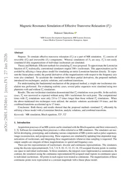 Magnetic Resonance Simulation of Effective Transverse Relaxation (T2*)