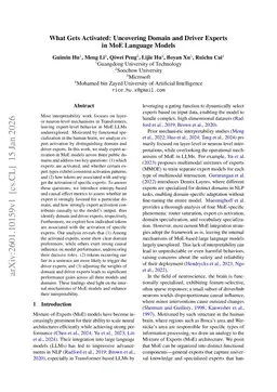 What Gets Activated: Uncovering Domain and Driver Experts in MoE Language Models