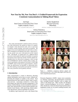Now You See Me, Now You Don't: A Unified Framework for Expression Consistent Anonymization in Talking Head Videos