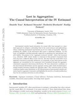 Lost in Aggregation: The Causal Interpretation of the IV Estimand