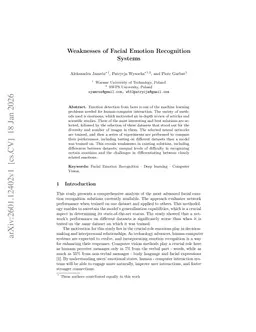 Weaknesses of Facial Emotion Recognition Systems