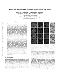 SSPFormer: Self-Supervised Pretrained Transformer for MRI Images