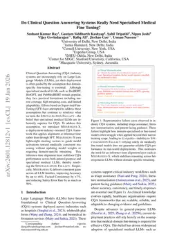 Do Clinical Question Answering Systems Really Need Specialised Medical Fine Tuning?