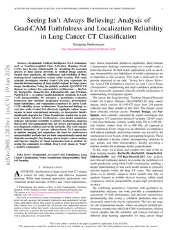 Seeing Isn't Always Believing: Analysis of Grad-CAM Faithfulness and Localization Reliability in Lung Cancer CT Classification