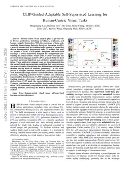 CLIP-Guided Adaptable Self-Supervised Learning for Human-Centric Visual Tasks