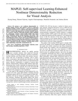 MAPLE: Self-supervised Learning-Enhanced Nonlinear Dimensionality Reduction for Visual Analysis