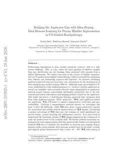 Bridging the Applicator Gap with Data-Doping:Dual-Domain Learning for Precise Bladder Segmentation in CT-Guided Brachytherapy