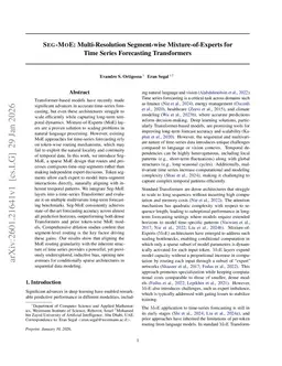 Seg-MoE: Multi-Resolution Segment-wise Mixture-of-Experts for Time Series Forecasting Transformers