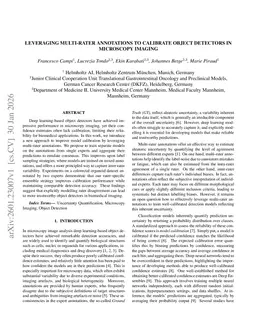 Leveraging Multi-Rater Annotations to Calibrate Object Detectors in Microscopy Imaging