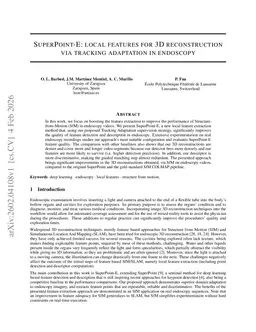 SuperPoint-E: local features for 3D reconstruction via tracking adaptation in endoscopy