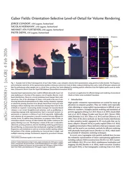 Gabor Fields: Orientation-Selective Level-of-Detail for Volume Rendering