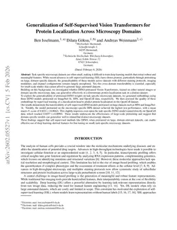 Generalization of Self-Supervised Vision Transformers for Protein Localization Across Microscopy Domains