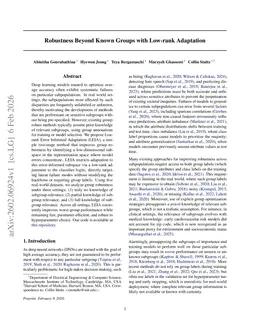 Robustness Beyond Known Groups with Low-rank Adaptation