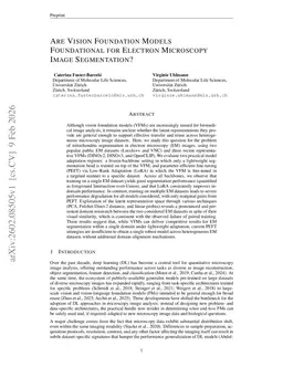 Are Vision Foundation Models Foundational for Electron Microscopy Image Segmentation?
