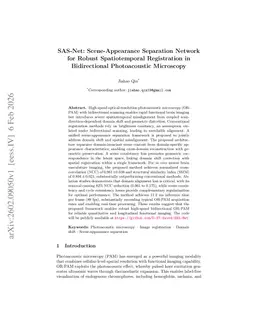 SAS-Net: Scene-Appearance Separation Network for Robust Spatiotemporal Registration in Bidirectional Photoacoustic Microscopy