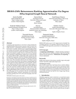 BRAVA-GNN: Betweenness Ranking Approximation Via Degree MAss Inspired Graph Neural Network
