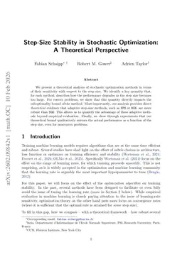 Step-Size Stability in Stochastic Optimization: A Theoretical Perspective