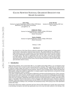 Gauss-Newton Natural Gradient Descent for Shape Learning