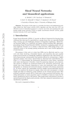 Sheaf Neural Networks and biomedical applications