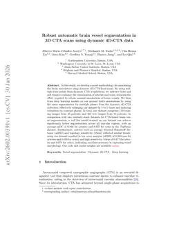 Robust automatic brain vessel segmentation in 3D CTA scans using dynamic 4D-CTA data