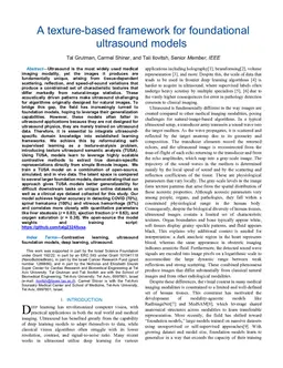A texture-based framework for foundational ultrasound models