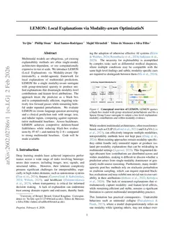 LEMON: Local Explanations via Modality-aware OptimizatioN