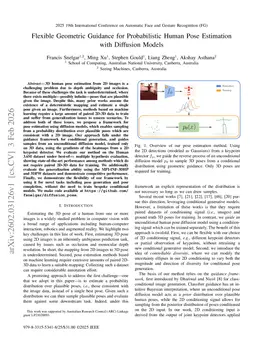 Flexible Geometric Guidance for Probabilistic Human Pose Estimation with Diffusion Models