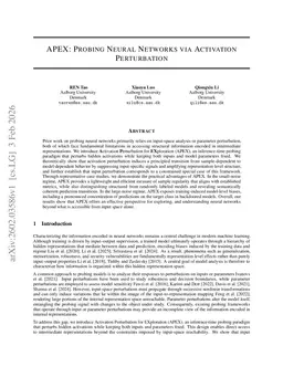 APEX: Probing Neural Networks via Activation Perturbation