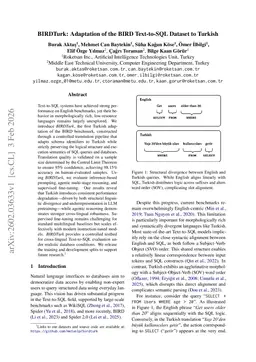 BIRDTurk: Adaptation of the BIRD Text-to-SQL Dataset to Turkish