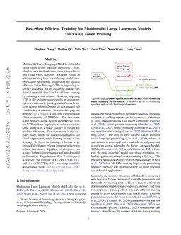 Fast-Slow Efficient Training for Multimodal Large Language Models via Visual Token Pruning