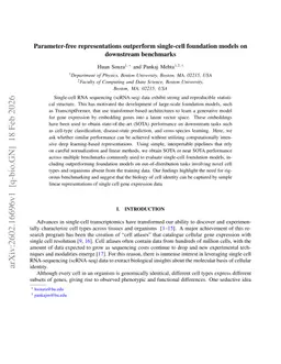 Parameter-free representations outperform single-cell foundation models on downstream benchmarks