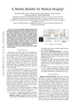 Is Mamba Reliable for Medical Imaging?