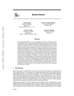 Rodent-Bench