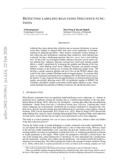 Detecting labeling bias using influence functions