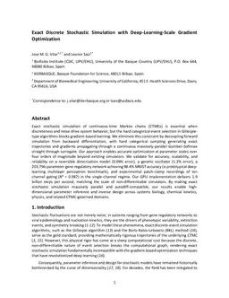 Exact Discrete Stochastic Simulation with Deep-Learning-Scale Gradient Optimization