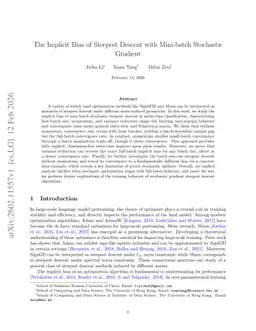 The Implicit Bias of Steepest Descent with Mini-batch Stochastic Gradient