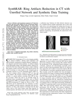 SynthRAR: Ring Artifacts Reduction in CT with Unrolled Network and Synthetic Data Training
