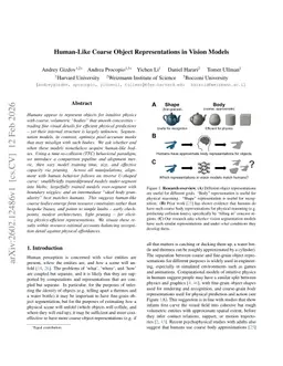 Human-Like Coarse Object Representations in Vision Models